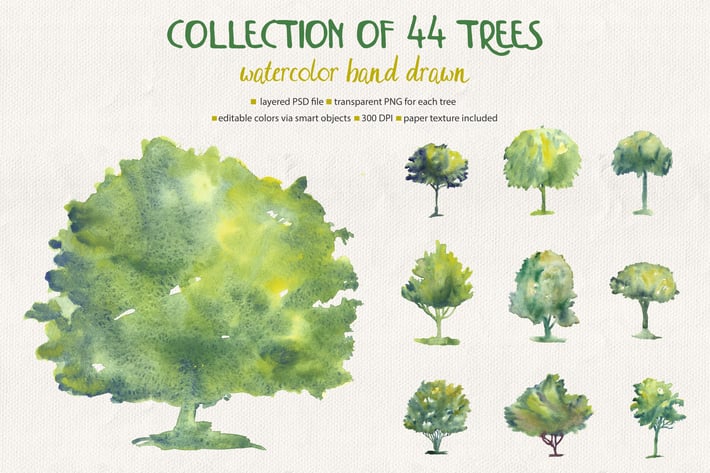 Collection of 44 Watercolor Trees