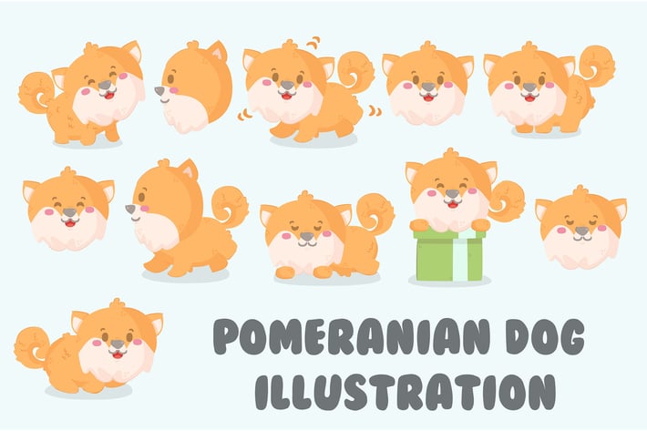 Pomeranian Dog Illustration Set