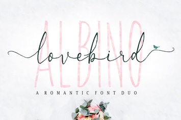 Albino Lovebird Font