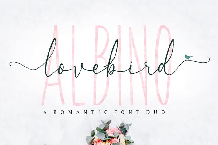 Albino Lovebird Font
