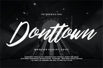 Donttown | Modern Script Font
