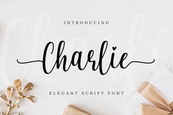 Charlie Delightful Script Font