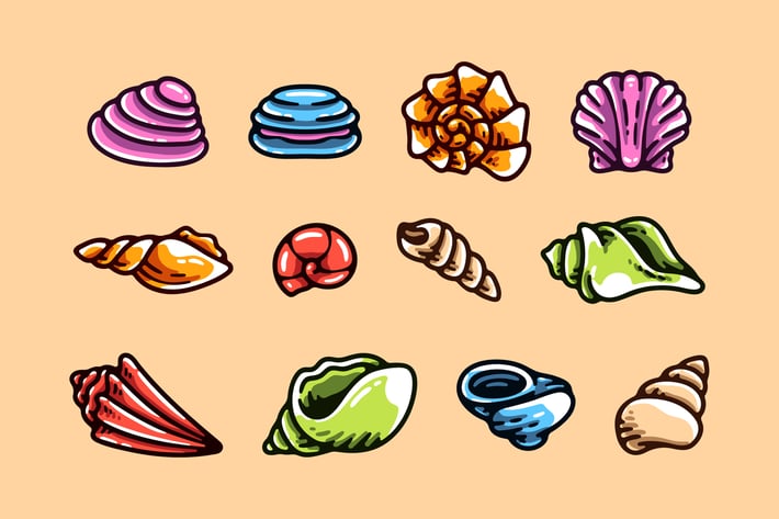 Cartoon Sea Shell Collection 