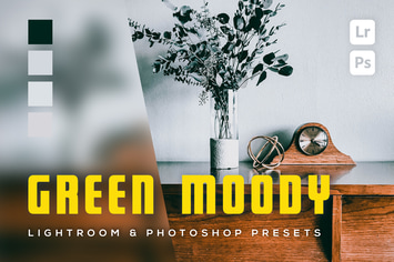 6 Green Moody Lightroom and Photoshop Presets