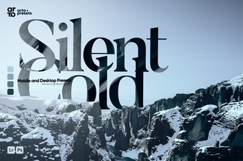 ARTA - Silent Cold Presets for Lightroom