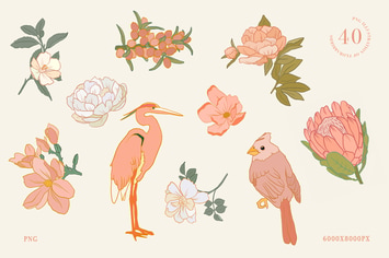 40 Floral and Birds Illustrations 