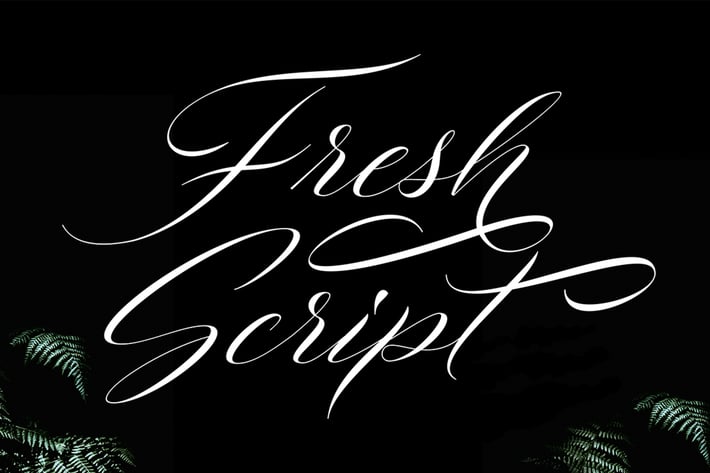 Fresh Script
