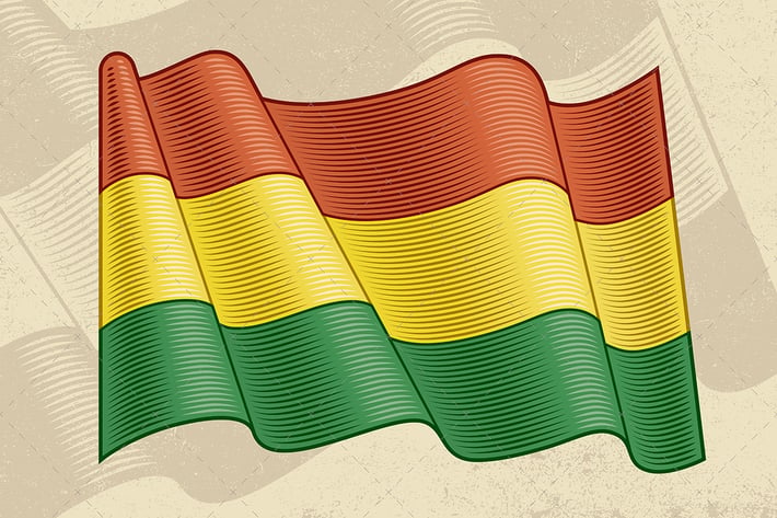Vintage Flag Of Bolivia
