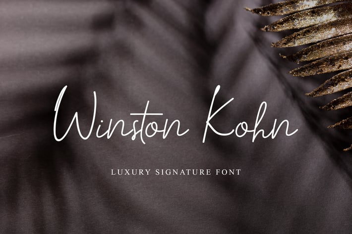 Winston Kohn Signature Handwritten Font