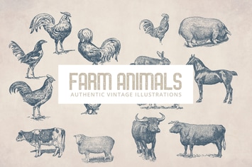 Vintage Farm Animals Illustrations