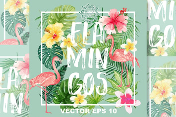 Flamingos design Vector