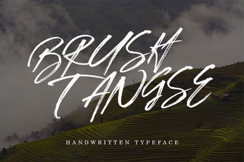 Brush Tangse
