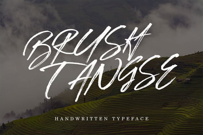 Brush Tangse