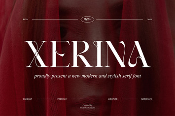 Xerina || Modern Serif Font