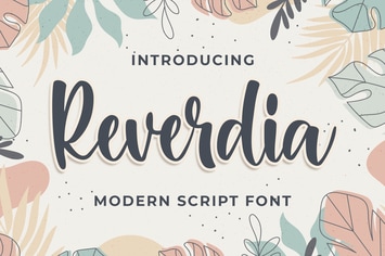 Raverdia Modern Script Font