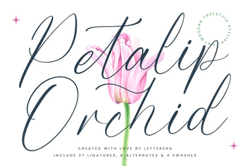 Petalip Orchid Modern Freestyle Stylish