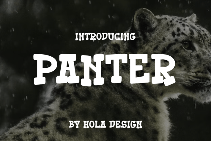 Panter Font