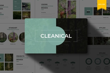 Cleanical | Google Slides Template