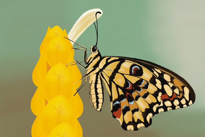 Illustration - Butterfly on a tree