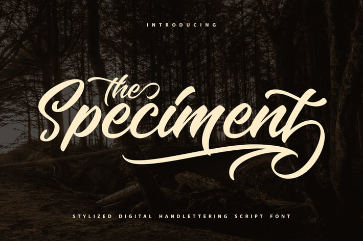 The Speciment – Handlettering Script Font