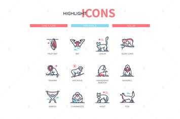 Different mammals - modern line design style icons