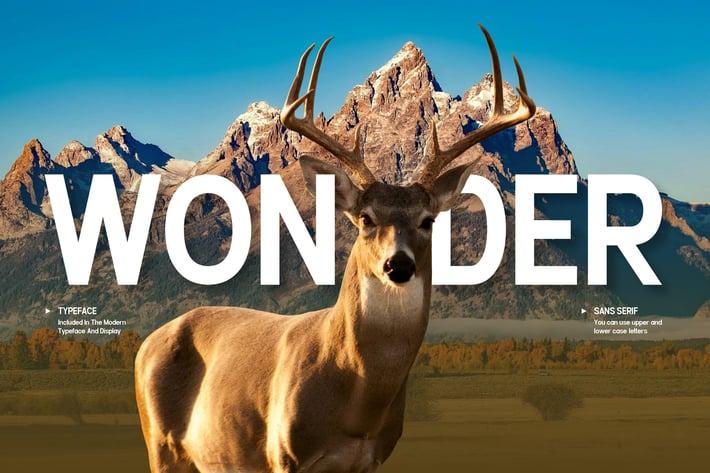 Wonder - Modern Sans Font