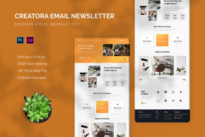 Creatora - Email Newsletter