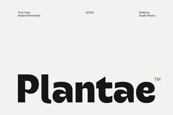 Plantae - Modern Minimalist Font
