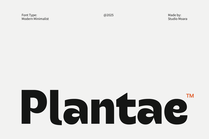 Plantae - Modern Minimalist Font