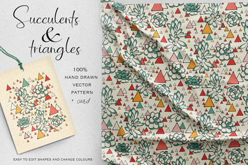 Succulents and Triangles