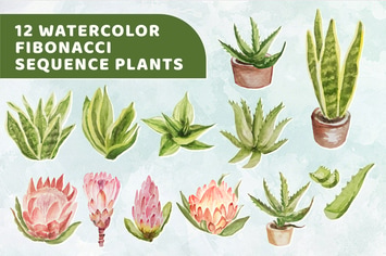 12 Watercolor Fibonacci Sequence Plants Graphics