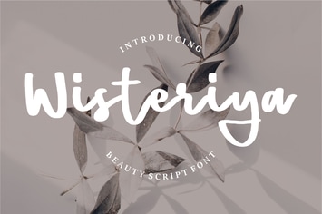 Wisteriya | Beauty Script Font