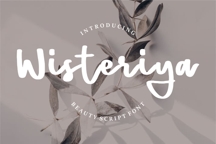 Wisteriya | Beauty Script Font