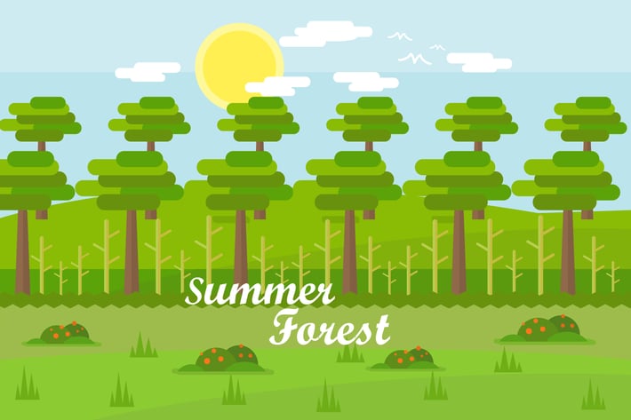 Summer Forest - Illustration Background