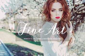 Fine Art Mobile & Desktop Lightroom Presets