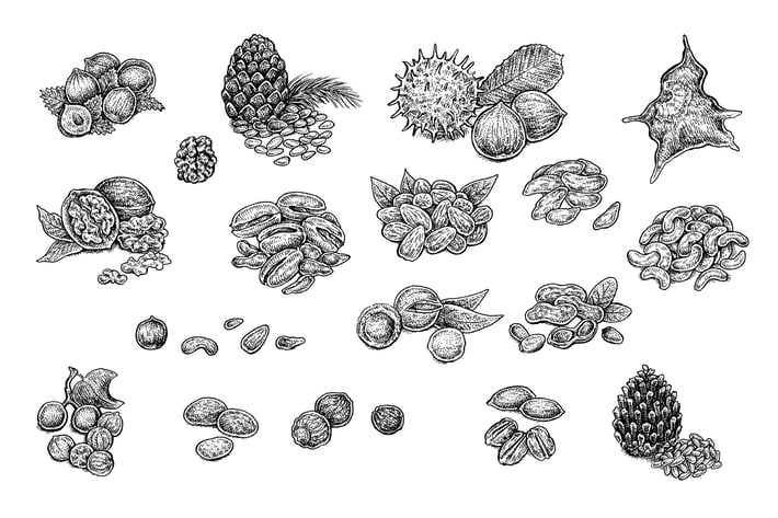 Nuts Set