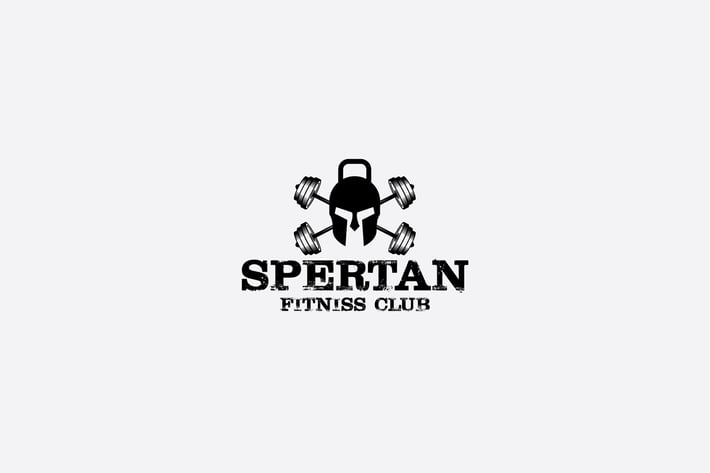 spartan fitness