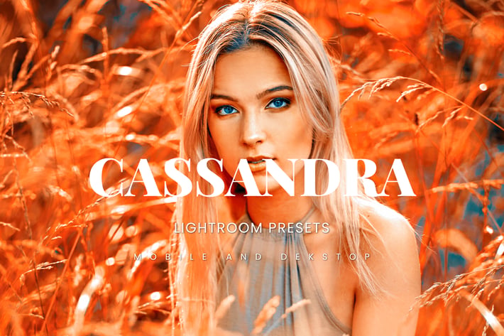 Cassandra Lightroom Presets Dekstop and Mobile