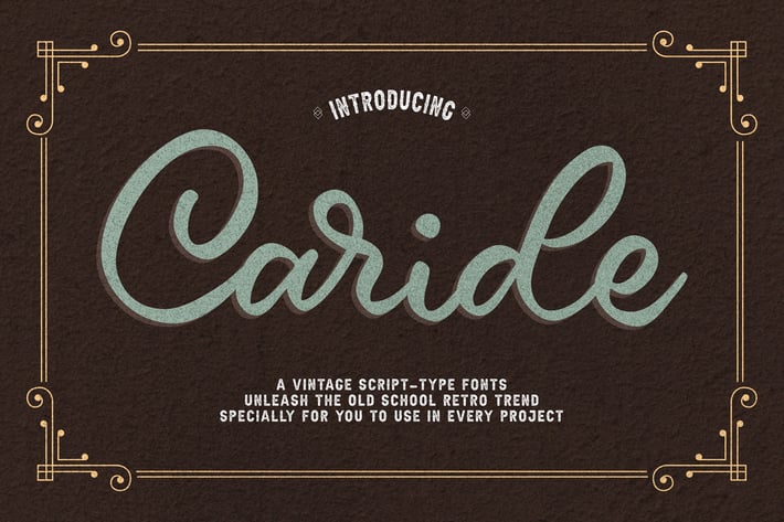 Vintage Script Font