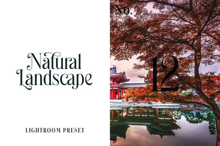 Lightroom Preset - Natural Landscape No.12