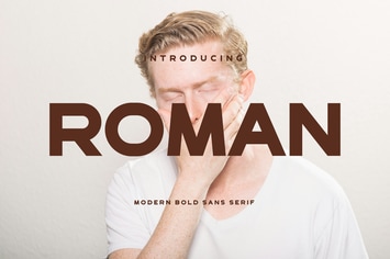 Roman Bold Sans Font