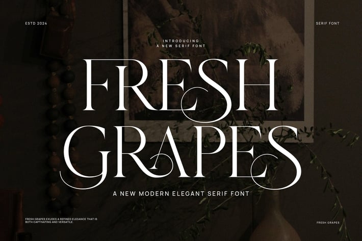 Fresh Grapes Modern Serif Font