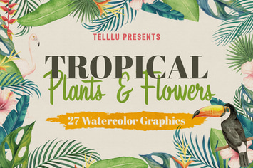 Watercolor Tropical Collection 1: Plants & Flowers