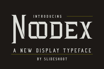 Noodex -  Display Serif  Font