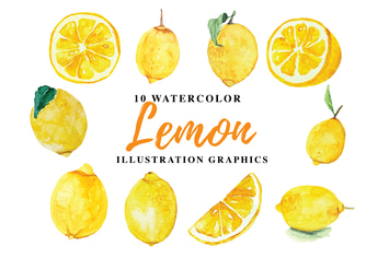 10 Watercolor Lemon Illustration Graphics