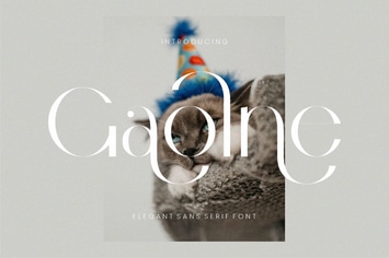 Gaolne Elegant Sans Serif Font