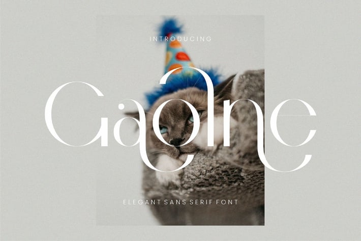 Gaolne Elegant Sans Serif Font