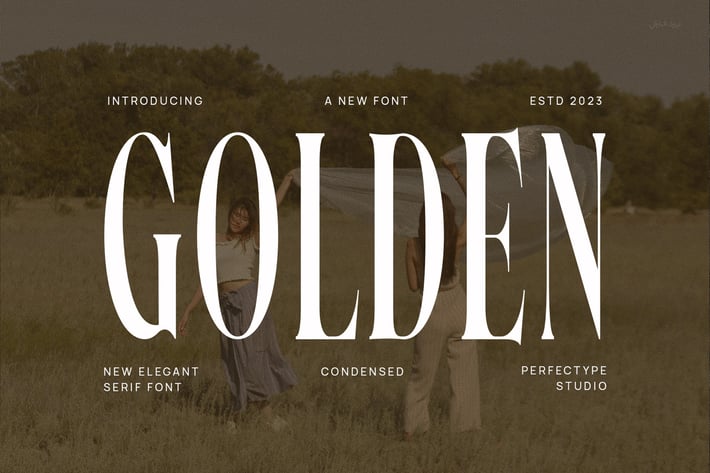 Golden Elegant Serif Font Typeface