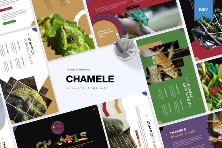  Chamele | Keynote Template