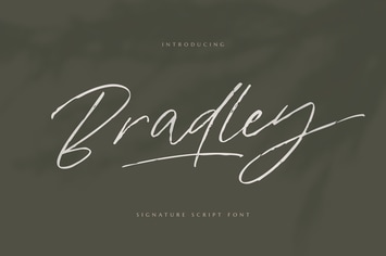 Signature Script Font